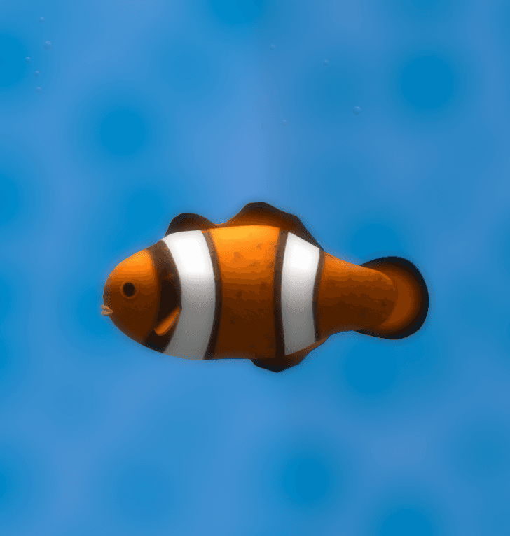 Clown Fish